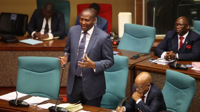 Prime Minister Dlamini addressing key national issues, including economic independence, following the US aid withdrawal.