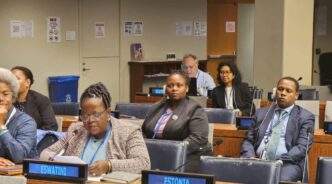 Delegates attend the 58th UN Commission on Population and Development in New York.