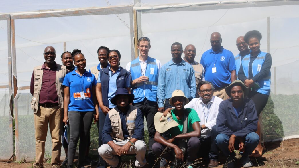 Young members of the Njelu Youth Group prepare their field for baby vegetable production with support from UN agencies. Photo: UNDP Eswatini