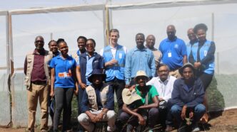 Young members of the Njelu Youth Group prepare their field for baby vegetable production with support from UN agencies. Photo: UNDP Eswatini