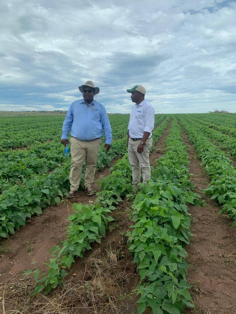 Officials during the launch of the 50-hectare bean project at Paradise Farm, Shiselweni.