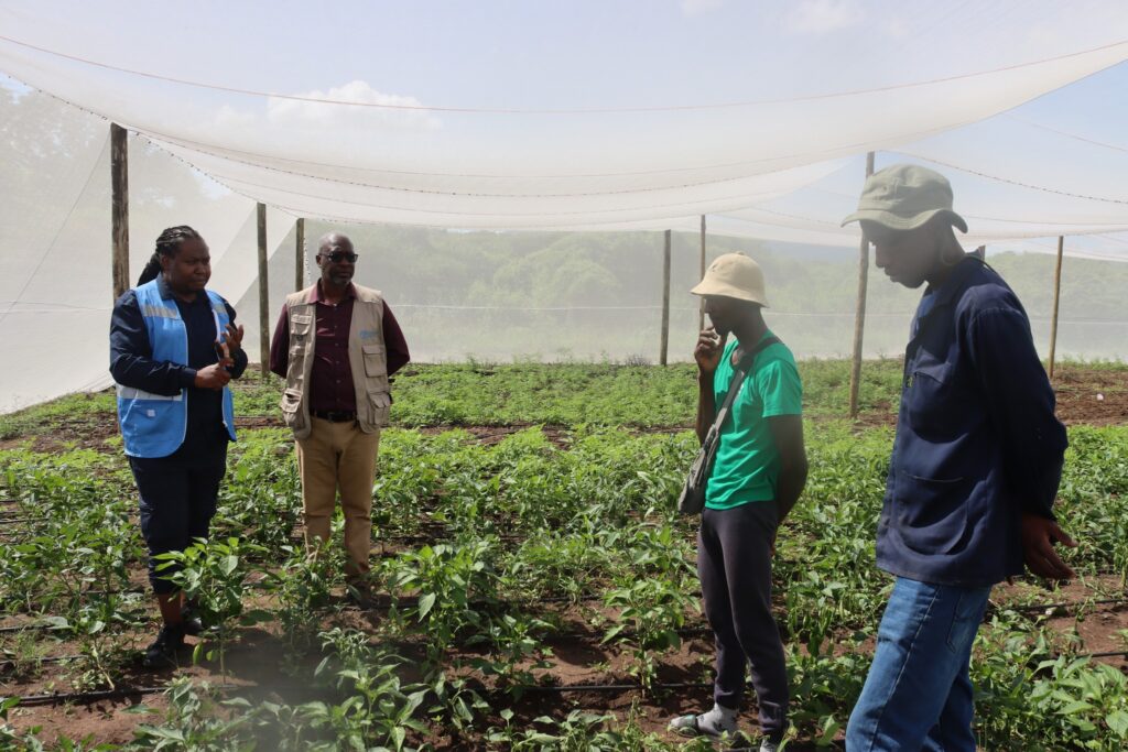 Young members of the Njelu Youth Group prepare their field for baby vegetable production with support from UN agencies. Photo: UNDP Eswatini