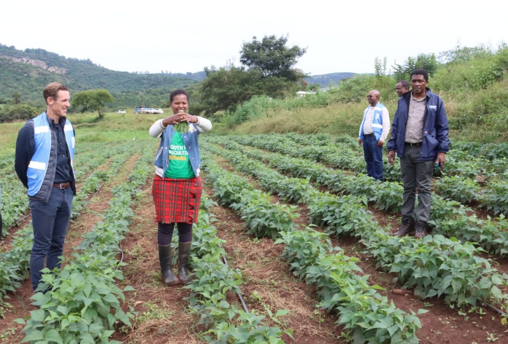 UNDP Resident Representative, Mr Henrik Franklin talks to the Malazas while touring their farm.
UNDP/Mantoe Phakathi