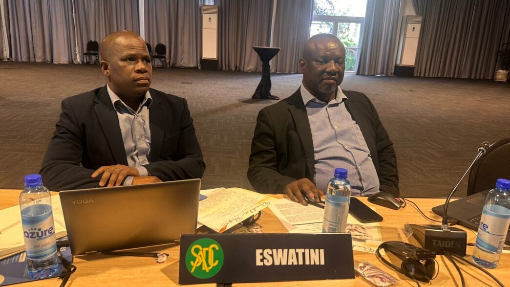 Eswatini delegates participate in the SADC regional workshop ahead of the International Labour Conference.