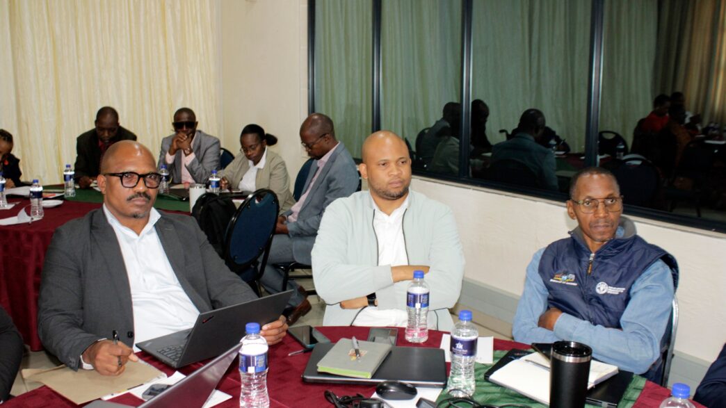 Officials and stakeholders during the validation workshop on sustainable green cities held in Mbabane.