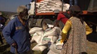A resettled family receives maize and vegetable seedlings from EWADE as part of compensation for farmland lost to the Mpakeni Dam project. Photo: EWADE