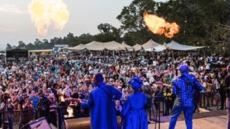 Festivalgoers dance under the stars during a main stage performance at a previous edition of MTN Bushfire