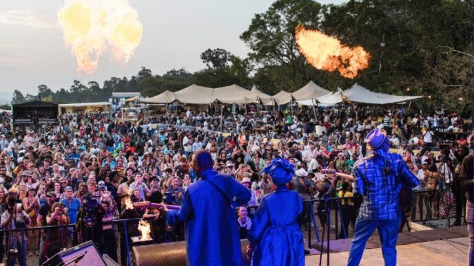 Festivalgoers dance under the stars during a main stage performance at a previous edition of MTN Bushfire
