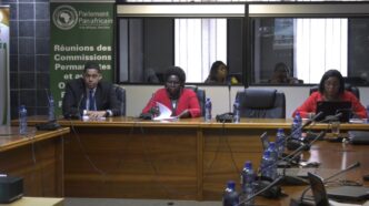 Screengrab from a video of the Pan-African Parliament’s Committee on Trade, Customs, and Immigration during the February session in Midrand. Photo: Pan-African Parliament