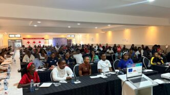 Youth delegates from across Eswatini attend the EU Youth Empowerment Fund information session hosted by the Eswatini Red Cross Society. Photo: Eswatini Red Cross Society
