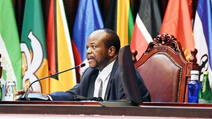 His Majesty King Mswati III addresses delegates during the 11th OACPS Summit in Malabo, Equatorial Guinea, where he called for strengthened resource mobilisation among member states.
