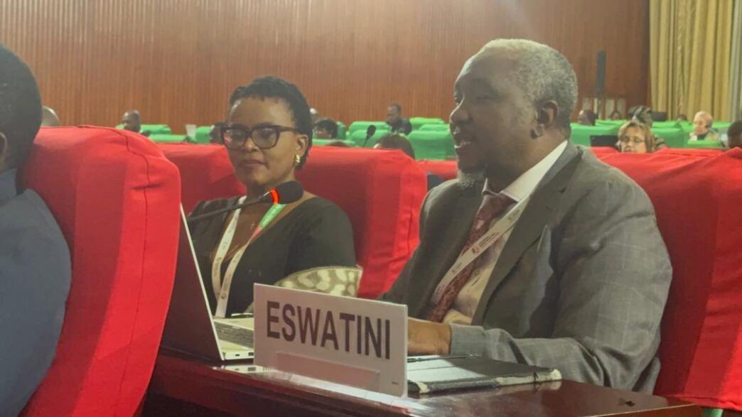 Mr Phesheya Dube addressing delegates during the 14th World Trade Organization Ministerial Conference in Yaoundé, Cameroon, where he represented Eswatini.