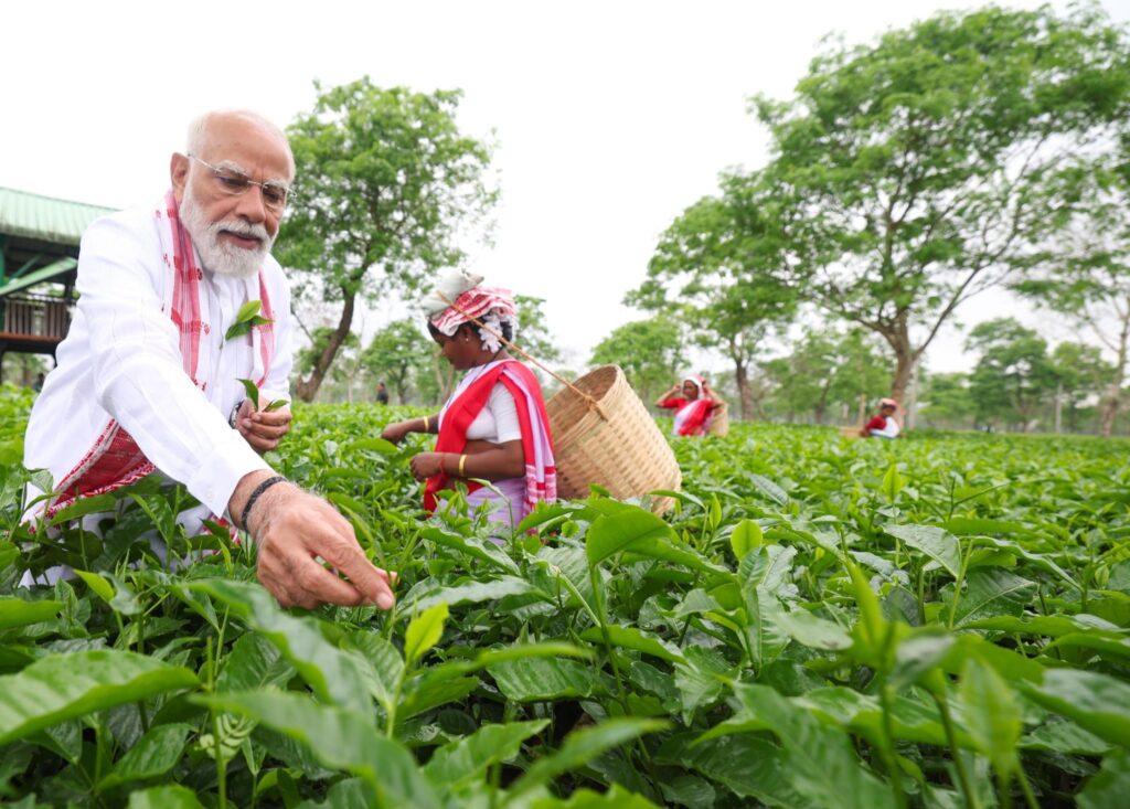 PM Narendra Modi picks tea leaves during his visit to a Dibrugarh tea garden, engaging with local women workers.