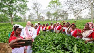 PM Narendra Modi interacts with women workers at a tea garden in Dibrugarh, Assam, taking a selfie during his visit.