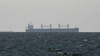 A cargo ship in the Gulf, near the Strait of Hormuz, as seen from northern Ras al-Khaimah, near the border with Oman’s Musandam governance, amid the U.S.-Israeli conflict with Iran, in United Arab Emirates, March 11, 2026. REUTERS/Stringer/File Photo