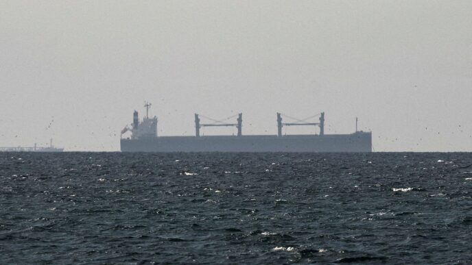A cargo ship in the Gulf, near the Strait of Hormuz, as seen from northern Ras al-Khaimah, near the border with Oman’s Musandam governance, amid the U.S.-Israeli conflict with Iran, in United Arab Emirates, March 11, 2026. REUTERS/Stringer/File Photo