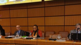 South Africa's Department of Science, Technology and Innovation Deputy Director for Space Systems Fikiswa Majola addresses a panel discussion at the 65th Session of the UN Committee on the Peaceful Uses of Outer Space Legal Subcommittee. Photo by Fikiswa Majola