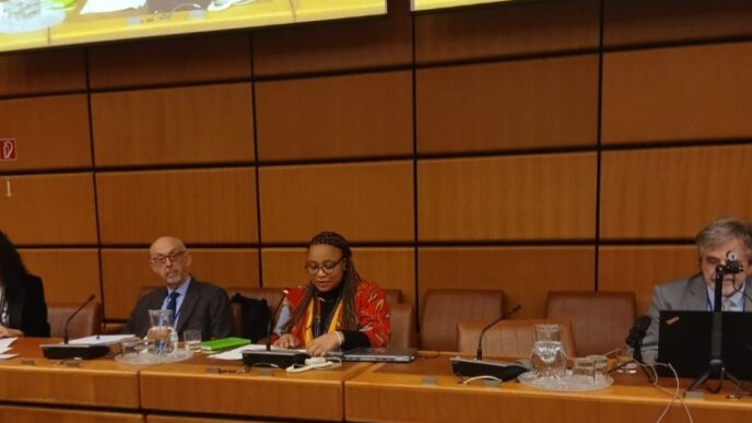 South Africa's Department of Science, Technology and Innovation Deputy Director for Space Systems Fikiswa Majola addresses a panel discussion at the 65th Session of the UN Committee on the Peaceful Uses of Outer Space Legal Subcommittee. Photo by Fikiswa Majola