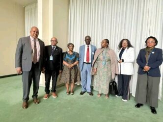 Lesotho's Minister of Labour and Employment Ts'eliso Mokhosi poses with delegates at the International Migration Review Forum in New York City. Photo: Lesotho News Agency