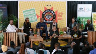 Panellists during the session. Photo: Facebook/MTN Bushfire