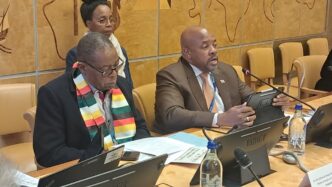 Minister of Health Mduduzi Matsebula addresses the side meeting on Global Public Health and Primary Health Care at the 79th World Health Assembly