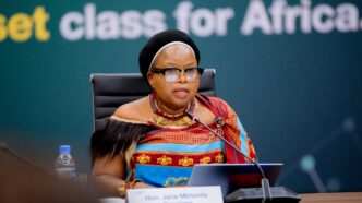 Minister of Tourism and Environmental Affairs Jane Mkhonta-Simelane addresses delegates at the NEISA Conference in Rwanda.