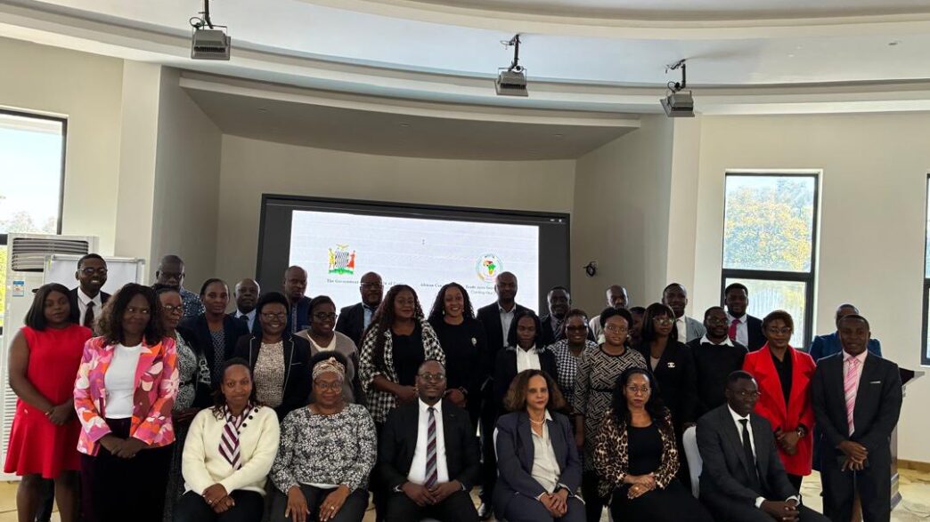 Trade experts, government officials and AfCFTA Secretariat representatives gathered in Lusaka this week for a four-day review of Zambia's implementation of the African Continental Free Trade Area Protocol on Trade in Goods.