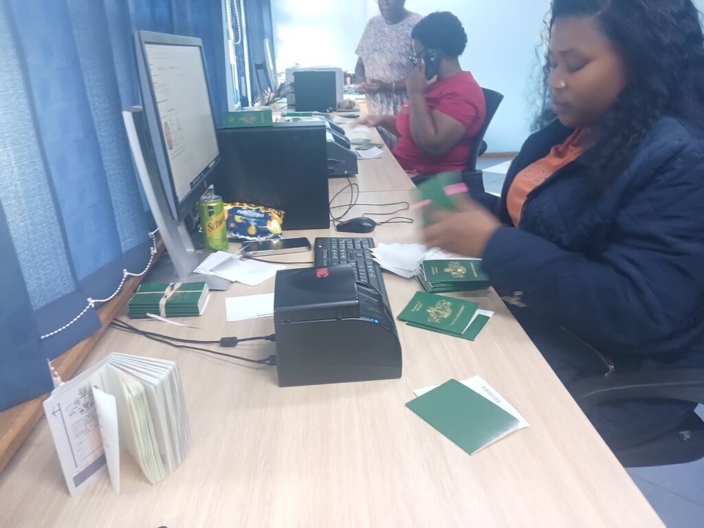A Home Affairs official processes travel documents at one of the ministry's offices as the government moves to clear a passport backlog affecting thousands of Emaswati. Photo: Ministry of Home Affairs