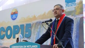 South Africa's Deputy Minister of Forestry, Fisheries and the Environment, Narend Singh, pictured during the COP15 Zimbabwe Convention on Wetlands on 24 July 2025. Photo: IISD