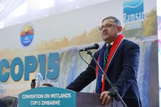 South Africa's Deputy Minister of Forestry, Fisheries and the Environment, Narend Singh, pictured during the COP15 Zimbabwe Convention on Wetlands on 24 July 2025. Photo: IISD