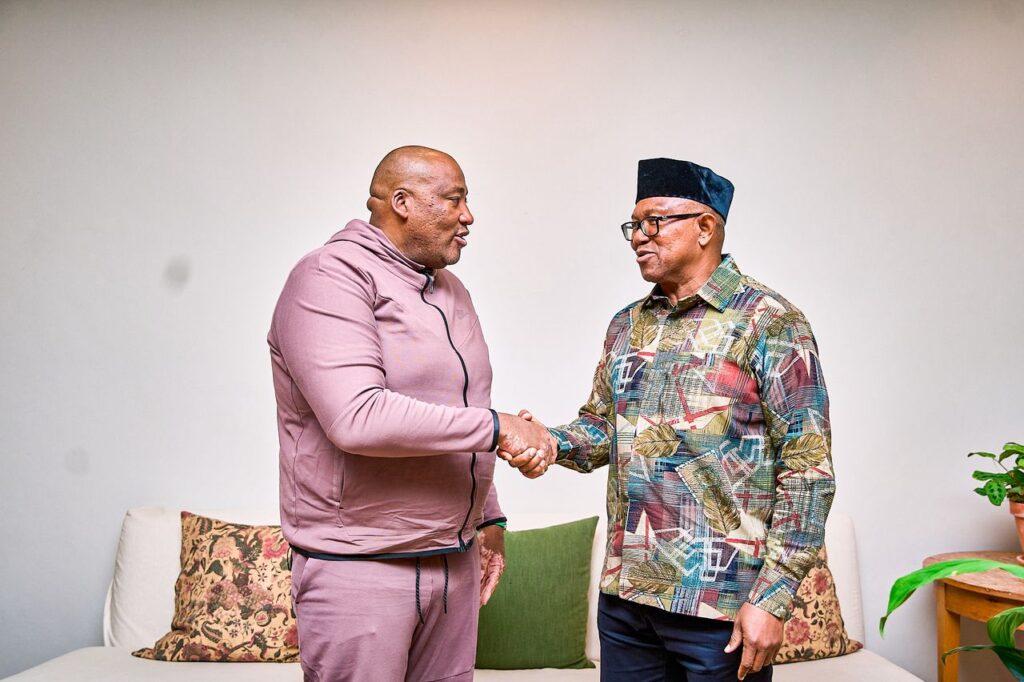 Peter Obi pictured with Patriotic Alliance leader and South African Minister of Sports, Arts and Culture Gayton McKenzie during their meeting in Cape Town, where the two discussed the challenges facing Nigerian and African expatriates in South Africa. Photo: X/@PeterObi