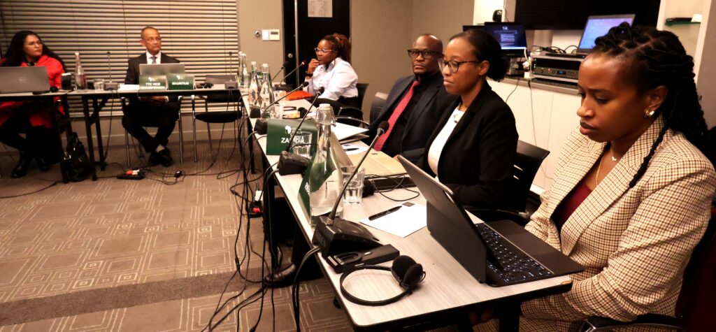 Tax experts from 15 African countries at the ATAF Technical Committee Meetings in Pretoria. | Photo: X/@ATAFtax