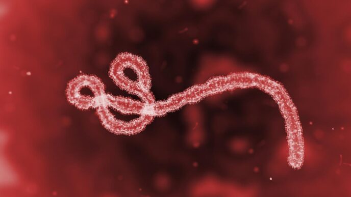 caption for a microscopic ebola virus 12:55 A microscopic image of the Ebola virus