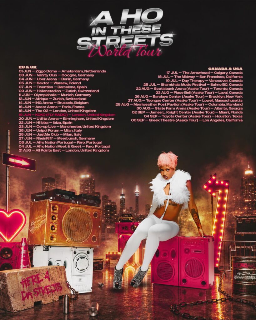 A HO IN THESE STREETS Tour