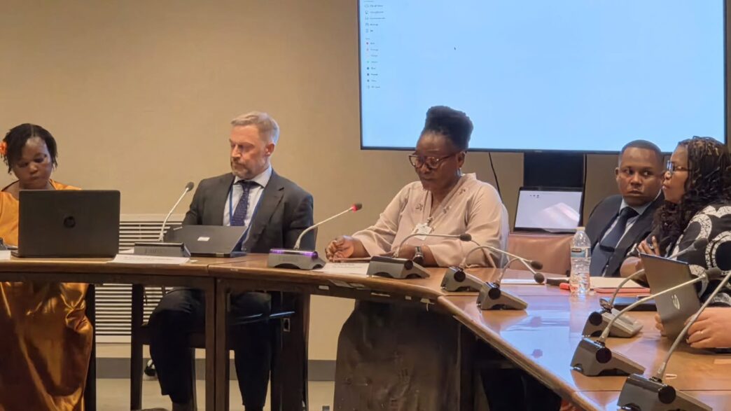 Deputy Prime Minister Thulisile Dladla addresses delegates at the COSP19 Side Event on Promoting the Implementation of Disability Rights Across the Commonwealth at the United Nations Headquarters in New York. Photo: Deputy Prime Minister's Office