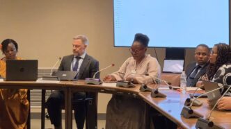 Deputy Prime Minister Thulisile Dladla addresses delegates at the COSP19 Side Event on Promoting the Implementation of Disability Rights Across the Commonwealth at the United Nations Headquarters in New York. Photo: Deputy Prime Minister's Office