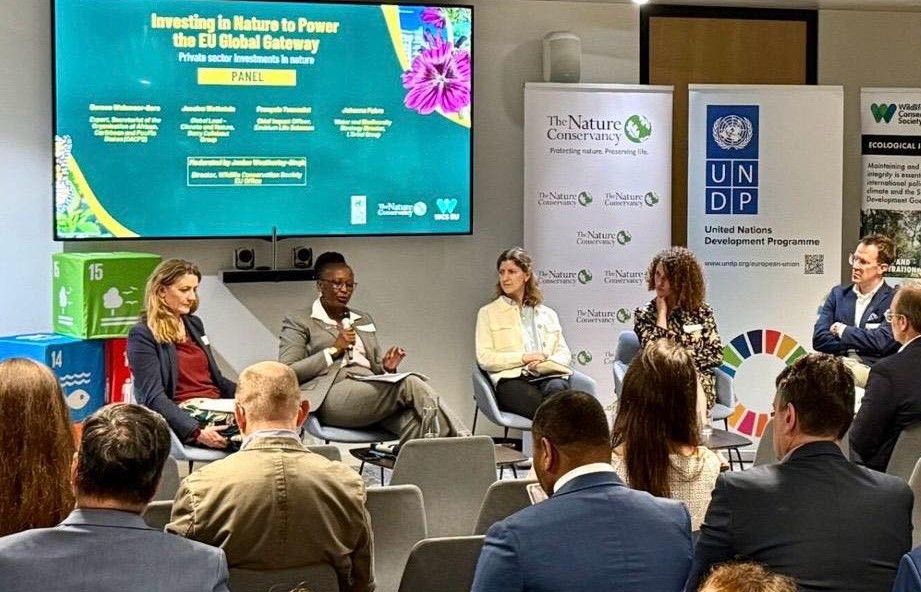 Mrs Doreen Walsweer-Sore, OACPS Secretariat Expert responsible for the implementation of the Samoa Agreement, speaks on a panel at UN House in Brussels during discussions on investing in nature under the Global Gateway framework. (Photo: OACPS Secretariat)
