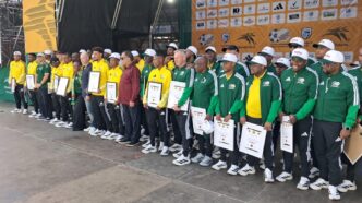 Bafana Bafana players