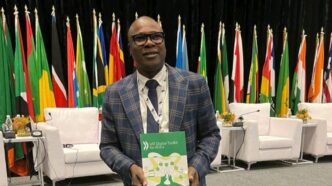Mathew Osanekwu, Director of Investigations at the Nigeria Revenue Service