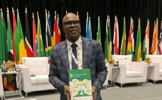 Mathew Osanekwu, Director of Investigations at the Nigeria Revenue Service