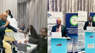 Scenes from ESERA's first stakeholder consultation on draft regulations for safer electrical and electronic products.