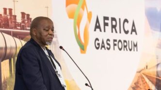 South African Minister of Mineral and Petroleum Resources Gwede Mantashe speaks during a previous energy sector event.