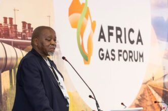 South African Minister of Mineral and Petroleum Resources Gwede Mantashe speaks during a previous energy sector event.