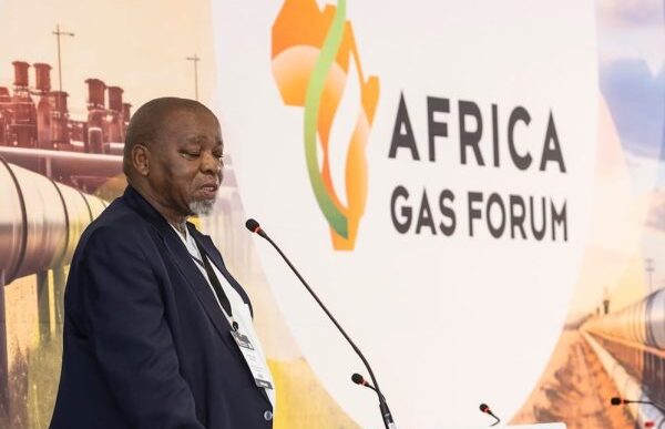 South African Minister of Mineral and Petroleum Resources Gwede Mantashe speaks during a previous energy sector event.